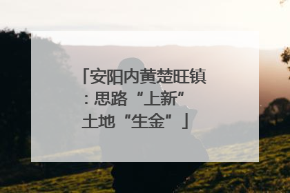 安阳内黄楚旺镇：思路“上新” 土地“生金”