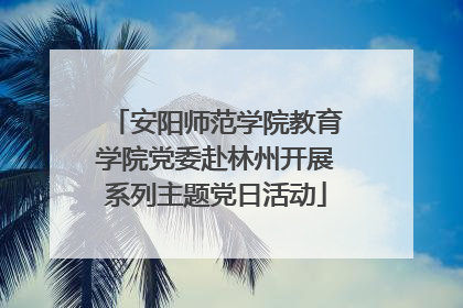 安阳师范学院教育学院党委赴林州开展系列主题党日活动