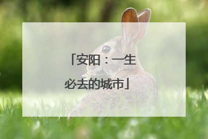 安阳：一生必去的城市