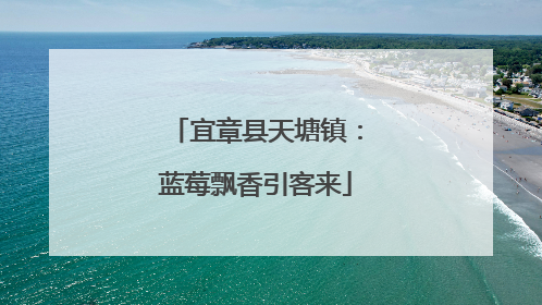 宜章县天塘镇：蓝莓飘香引客来