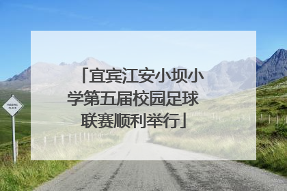 宜宾江安小坝小学第五届校园足球联赛顺利举行