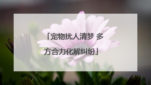 宠物扰人清梦 多方合力化解纠纷