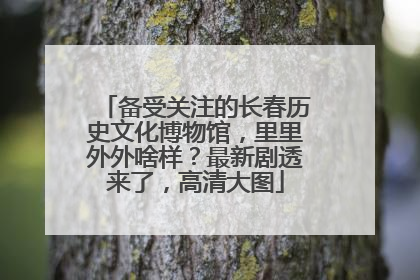 备受关注的长春历史文化博物馆，里里外外啥样？最新剧透来了，高清大图