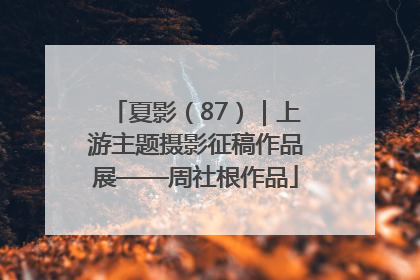 夏影（87）｜上游主题摄影征稿作品展——周社根作品