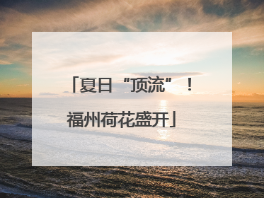 夏日“顶流”！福州荷花盛开