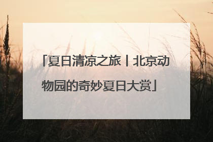 夏日清凉之旅丨北京动物园的奇妙夏日大赏