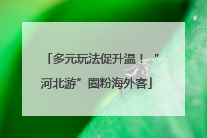 多元玩法促升温！“河北游”圈粉海外客