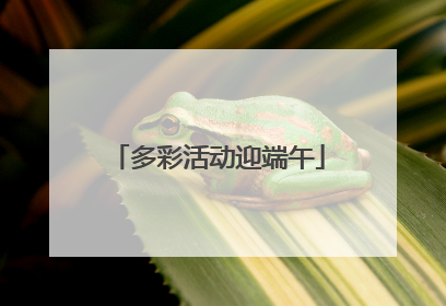 多彩活动迎端午