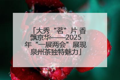 大秀“茗”片 香飘京华——2025年“一展两会”展现泉州茶独特魅力