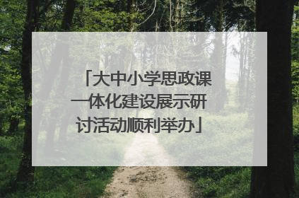 大中小学思政课一体化建设展示研讨活动顺利举办