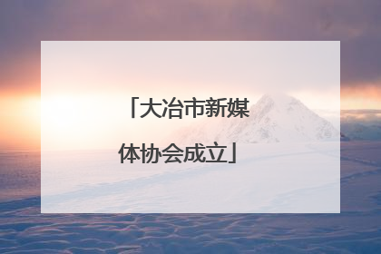 大冶市新媒体协会成立