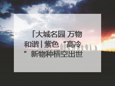 大城名园 万物和谐│紫色“高冷”新物种横空出世，皱褶叶片暗藏进化密码