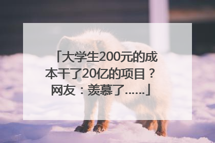大学生200元的成本干了20亿的项目？网友：羡慕了……