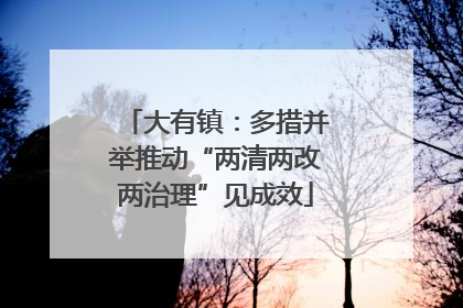 大有镇：多措并举推动“两清两改两治理”见成效