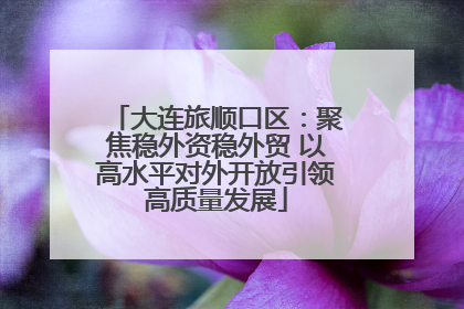 大连旅顺口区：聚焦稳外资稳外贸 以高水平对外开放引领高质量发展
