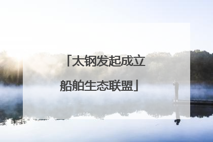 太钢发起成立船舶生态联盟