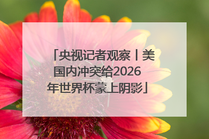 央视记者观察丨美国内冲突给2026年世界杯蒙上阴影