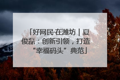好网民·在潍坊｜夏俊磊：创新引领，打造“幸福码头”典范