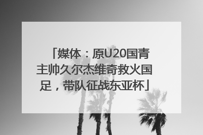 媒体：原U20国青主帅久尔杰维奇救火国足，带队征战东亚杯
