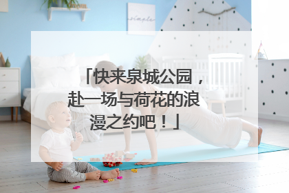 快来泉城公园，赴一场与荷花的浪漫之约吧！