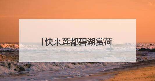 快来莲都碧湖赏荷 轻松解锁夏日浪漫