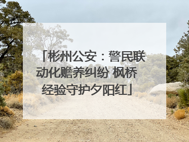 彬州公安：警民联动化赡养纠纷 枫桥经验守护夕阳红