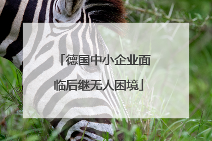 德国中小企业面临后继无人困境