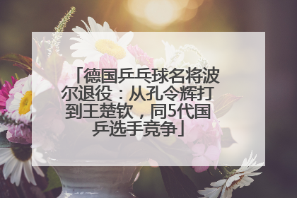 德国乒乓球名将波尔退役：从孔令辉打到王楚钦，同5代国乒选手竞争