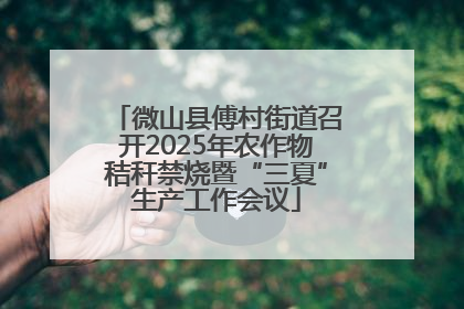 微山县傅村街道召开2025年农作物秸秆禁烧暨“三夏”生产工作会议