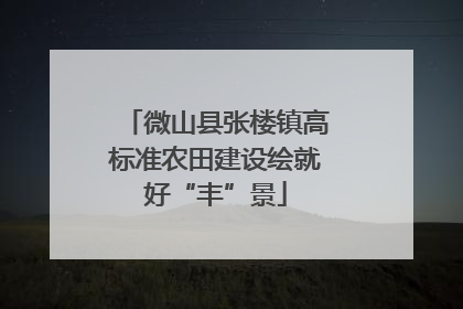 微山县张楼镇高标准农田建设绘就好“丰”景