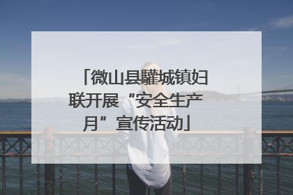 微山县驩城镇妇联开展“安全生产月”宣传活动