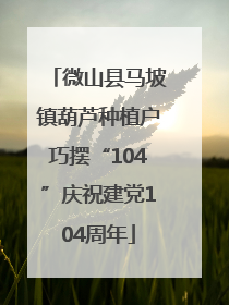 微山县马坡镇葫芦种植户巧摆“104”庆祝建党104周年