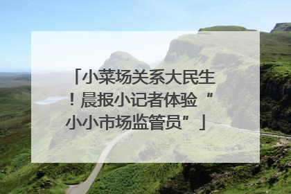 小菜场关系大民生！晨报小记者体验“小小市场监管员”