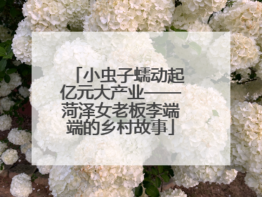 小虫子蠕动起亿元大产业——菏泽女老板李端端的乡村故事