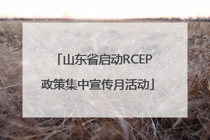 山东省启动RCEP政策集中宣传月活动