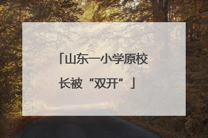山东一小学原校长被“双开”