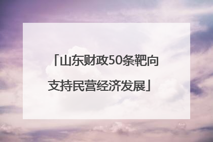 山东财政50条靶向支持民营经济发展