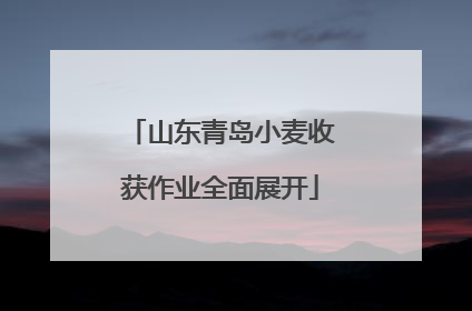 山东青岛小麦收获作业全面展开