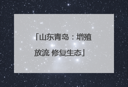 山东青岛：增殖放流 修复生态