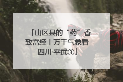 山区县的“药”香致富经丨万千气象看四川·平武③