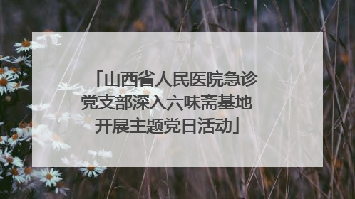 山西省人民医院急诊党支部深入六味斋基地开展主题党日活动