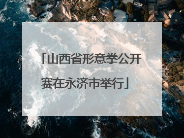 山西省形意拳公开赛在永济市举行