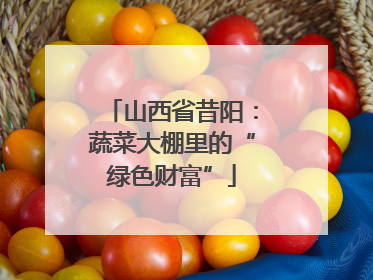 山西省昔阳：蔬菜大棚里的“绿色财富”