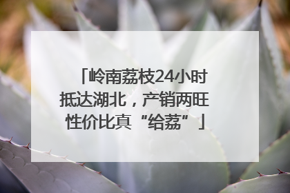 岭南荔枝24小时抵达湖北，产销两旺性价比真“给荔”
