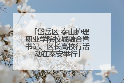 岱岳区 泰山护理职业学院校城融合暨书记、区长高校行活动在泰安举行