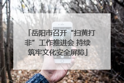岳阳市召开“扫黄打非”工作推进会 持续筑牢文化安全屏障