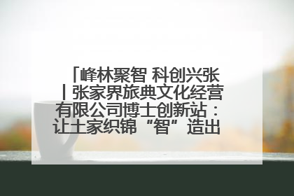 峰林聚智 科创兴张丨张家界旅典文化经营有限公司博士创新站：让土家织锦“智”造出非遗新传奇