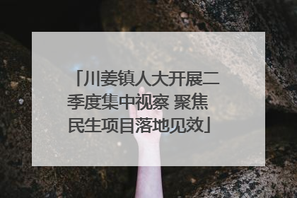 川姜镇人大开展二季度集中视察 聚焦民生项目落地见效