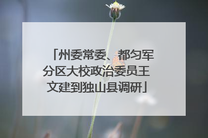 州委常委、都匀军分区大校政治委员王文建到独山县调研