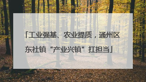 工业强基、农业提质，通州区东社镇“产业兴镇”扛担当